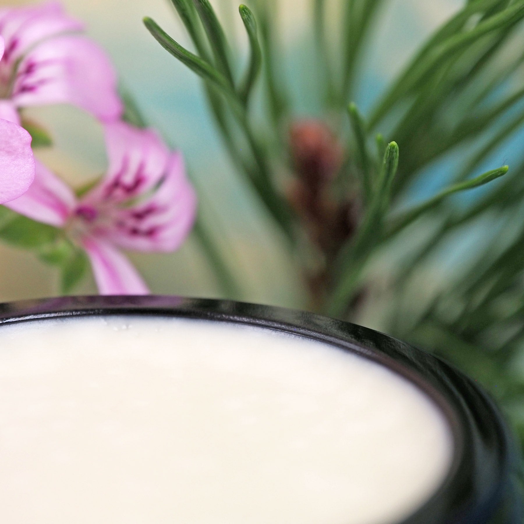 Geöffneter 35ml Walking Fußpflegecreme Tiegel.