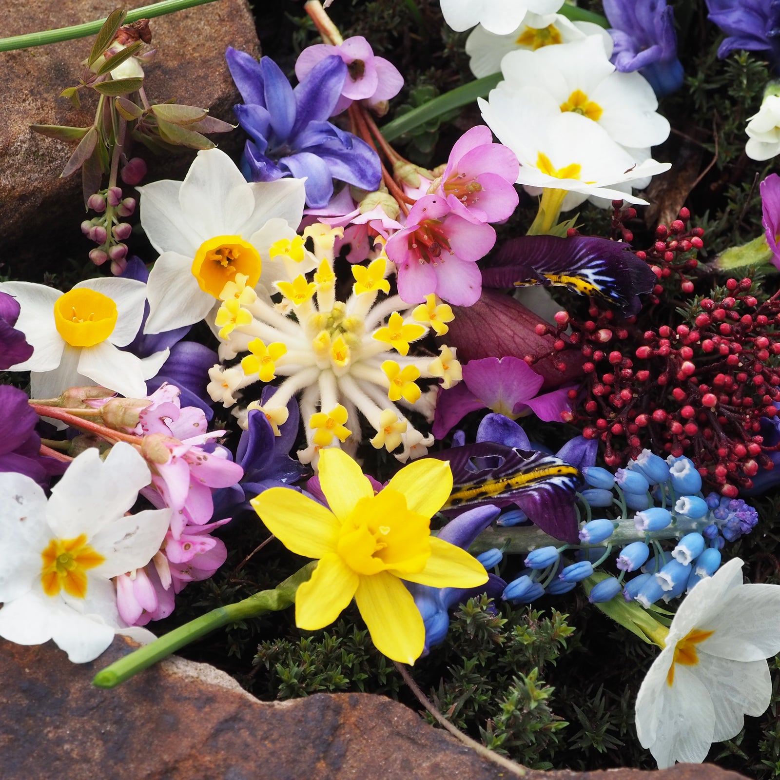 Frühlingszauber (3ml)