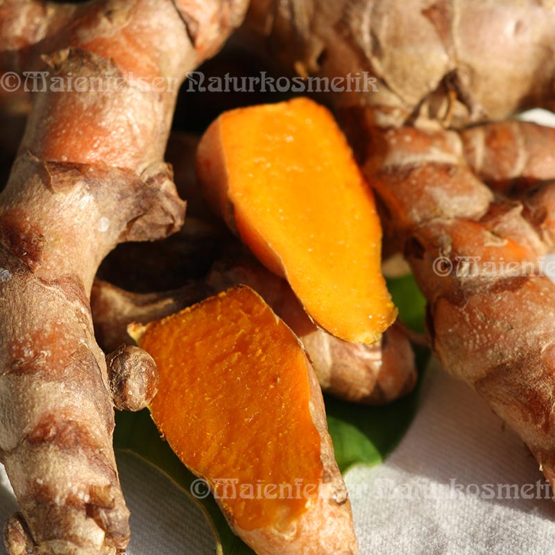 Gelbwurz spezial (10 ml)