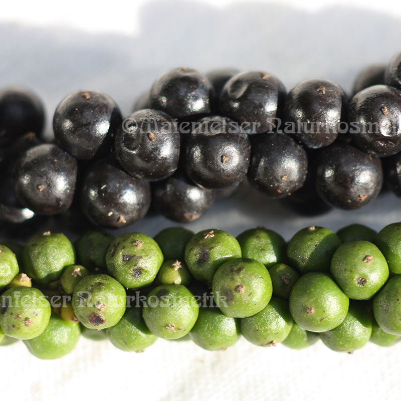 Pfeffer schwarz (5 ml)