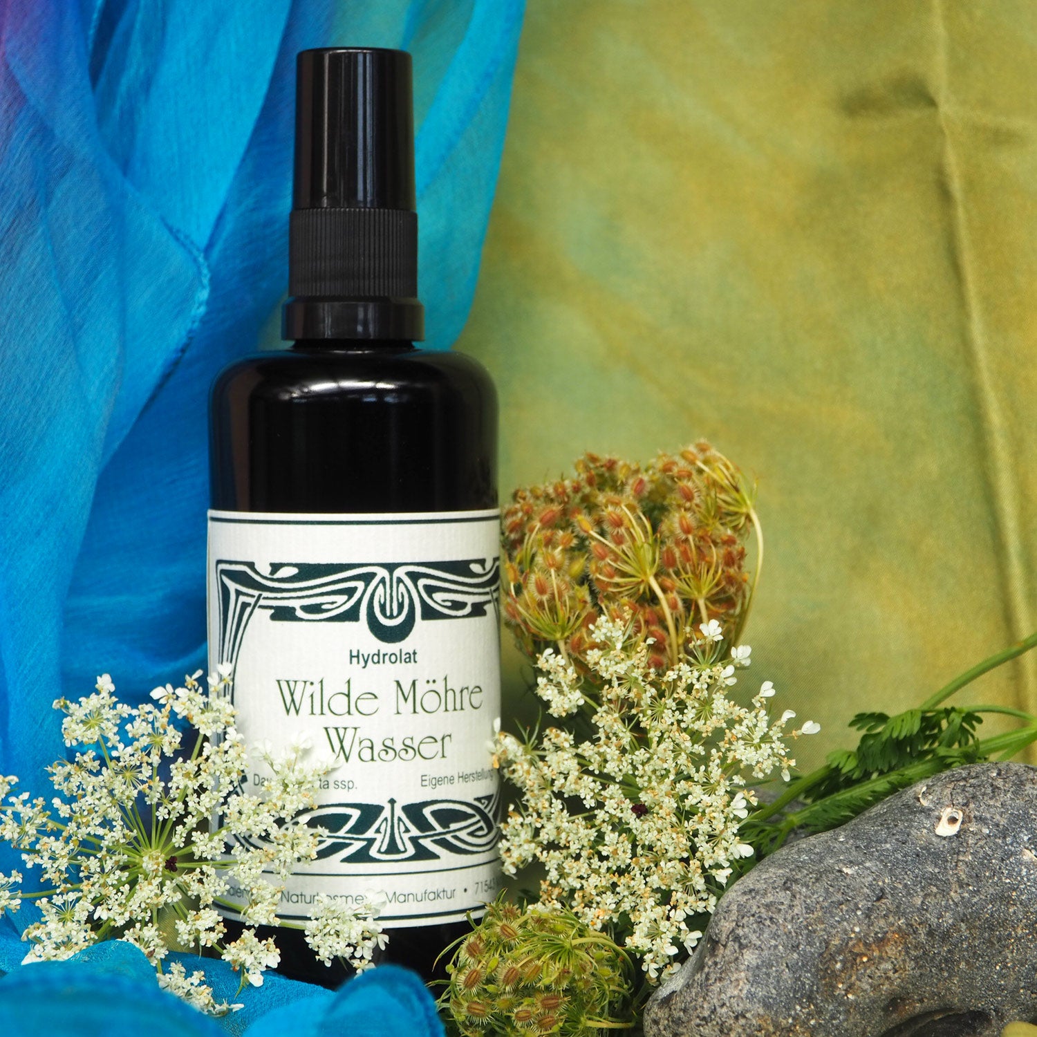 Wilde Möhrenwasser - Karottensamen