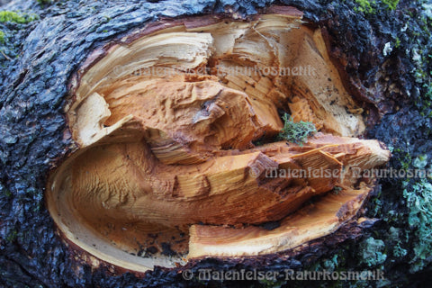 Cedernholz extra BIO (10 ml)