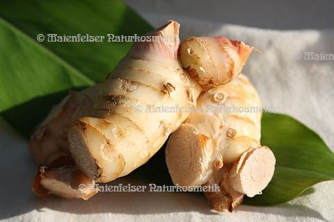 Galgant CO2 BIO (3 ml)