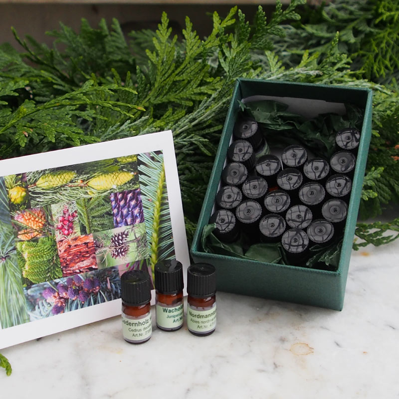 Schnupperbox "Nadelhölzer"